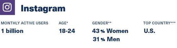 Instagram Overall Audience 2020