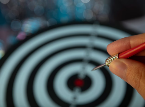 Customised to Your Campaign Goals